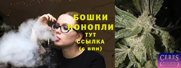 сатива Богданович