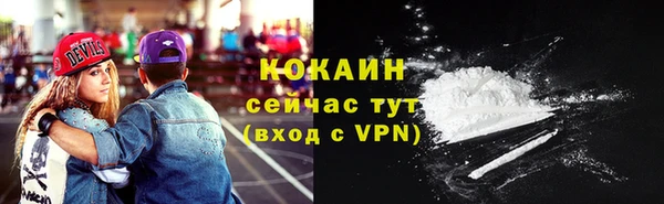 крисы Богородск