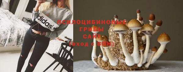 сатива Богданович