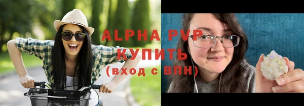 крисы Богородск