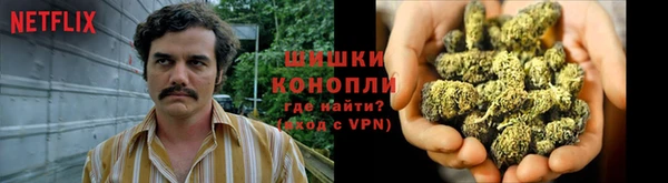 сатива Богданович