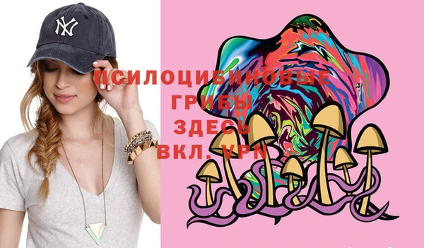 ешки Богородицк