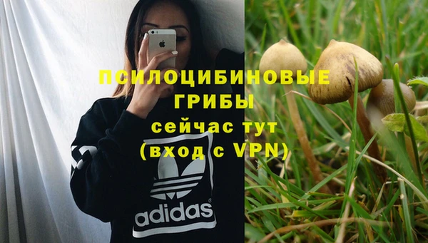 сатива Богданович