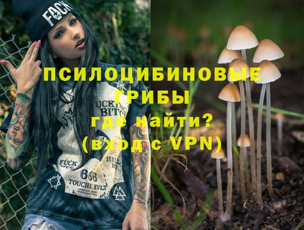 ешки Богородицк