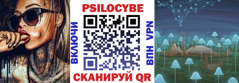 Псилоцибиновые грибы мицелий Новосиль